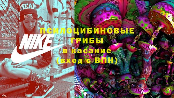метадон Армянск