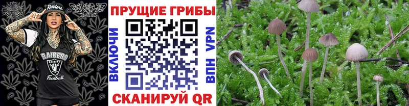 Галлюциногенные грибы ЛСД Бахчисарай