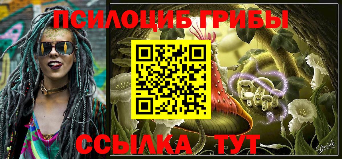 Галлюциногенные грибы Cubensis  Вход с VPN  Бахчисарай 