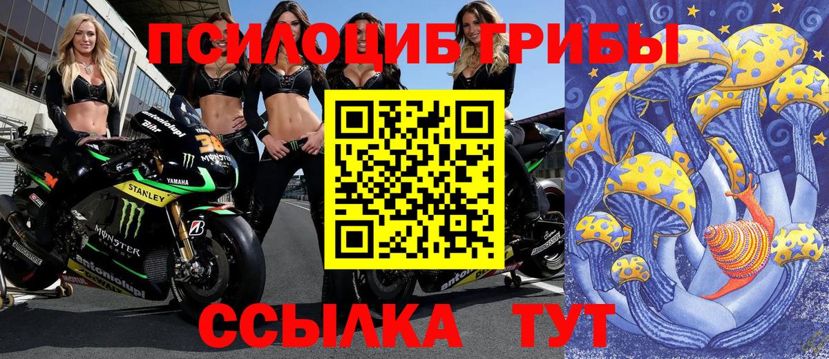Галлюциногенные грибы мухоморы Бахчисарай